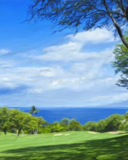 Wailea Emerald #14